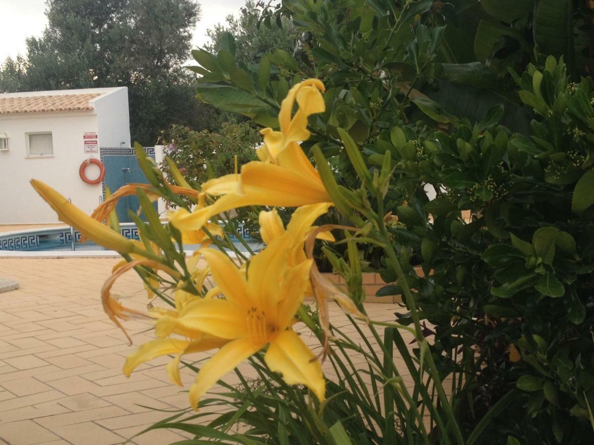 Vilabranco Albufeira Luaran gambar